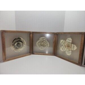 Paper Flower Shadow Box Wall Art Set Of 3